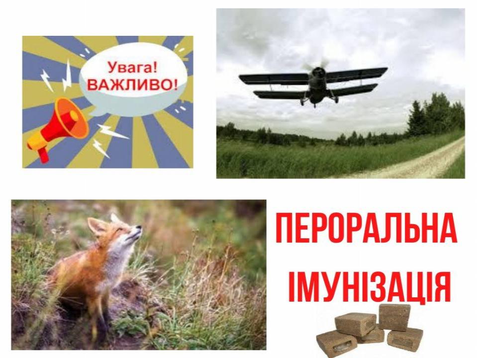 http://dunrada.gov.ua/uploadfile/archive_news/2021/08/31/2021-08-31_9885/images/images-1704.jpg